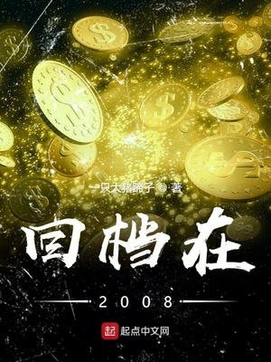 回档在2008